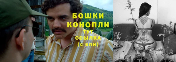 mdpv Надым