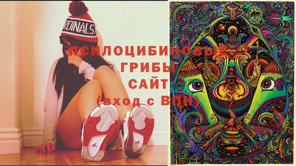 бошки Наволоки