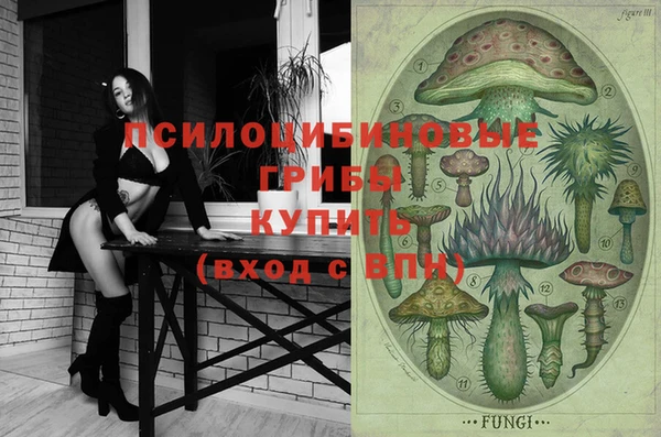 mdpv Надым
