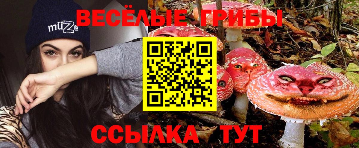 Псилоцибиновые грибы Psilocybe Добрянка